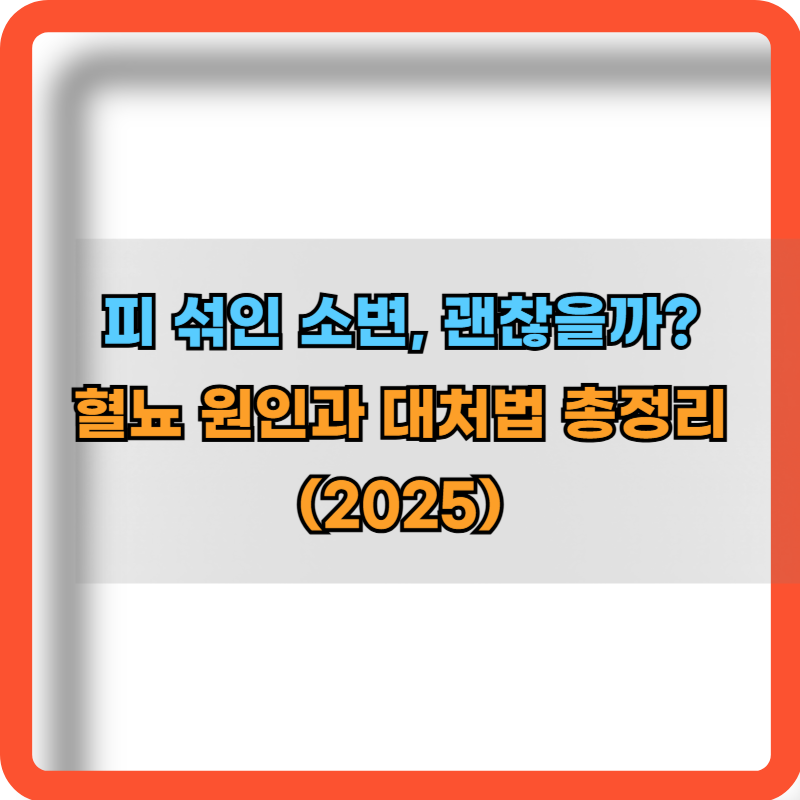 혈뇨의 원인과 대처법 총정리