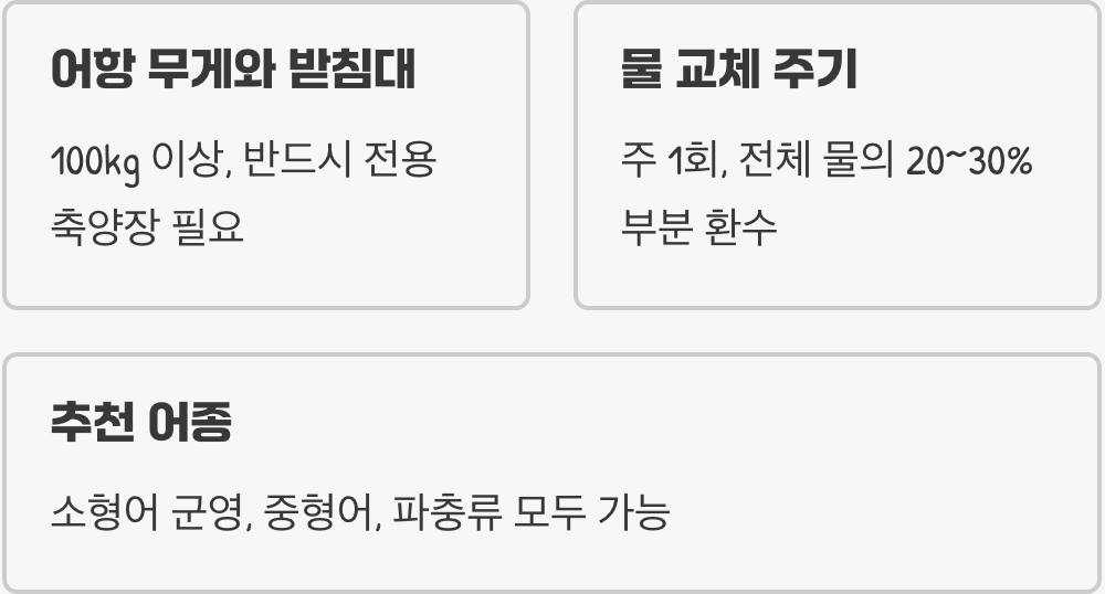 2자 광폭 어항 세팅 A to Z (초보자 필독 가이드)