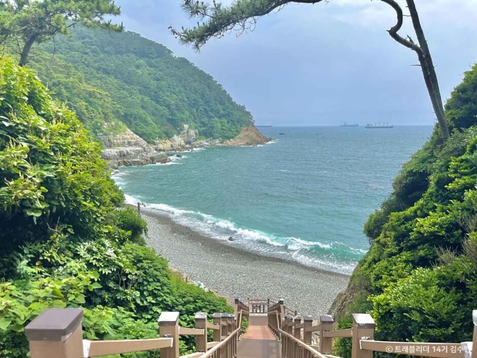 태종대 바다