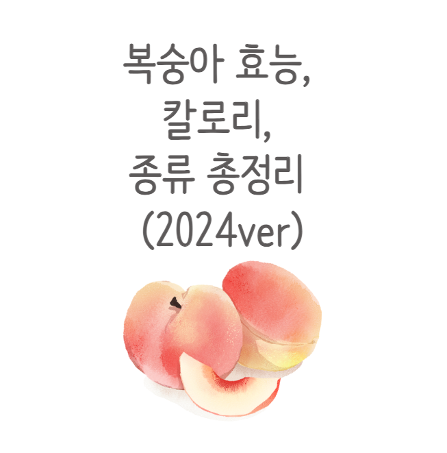 복숭아 효능, 칼로리, 종류 총정리 (2024ver)
메인 키워드