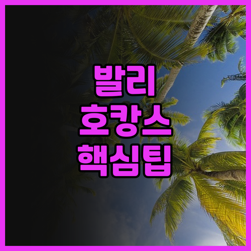 발리 호텔 프놈펜 추천! 공항 인근 ..