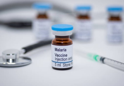 말라리아 증상 예방 치료 백신