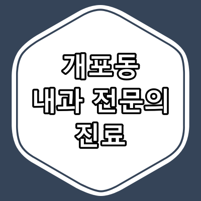 서울시 강남구 개포동 내과 전문의 진료 하는 동네 병원