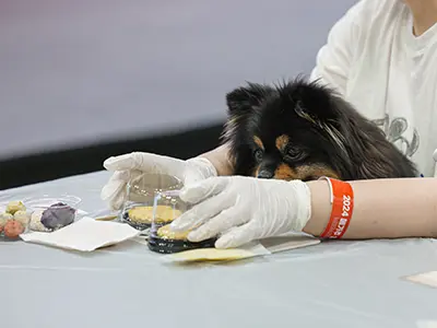 일산 고양 킨텍스 2024 메가주 케이펫페어 소개 MEGA ZOO 일정 시간 사전 등록 입장료 펫 산업 박람회 전시회 반려동물 부스배치도