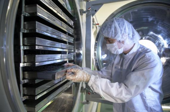 유럽 유산균 사진