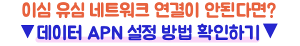 일본-eSIM-유심-데이터-APN-설정