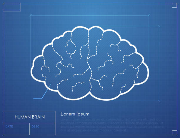 신체 활동과 문제 해결 능력 간의 관계