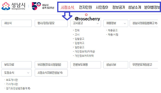 성남시청-홈페이지-시정소식-메뉴들