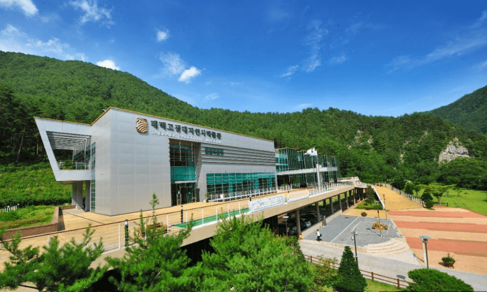 태백 가볼만한 곳