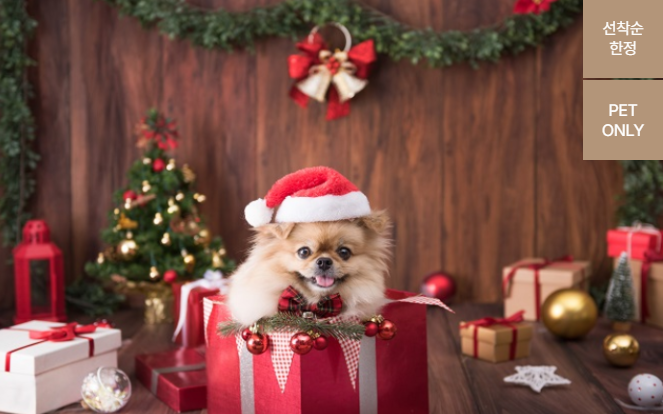 켄싱턴리조트 충주 산타가 간다