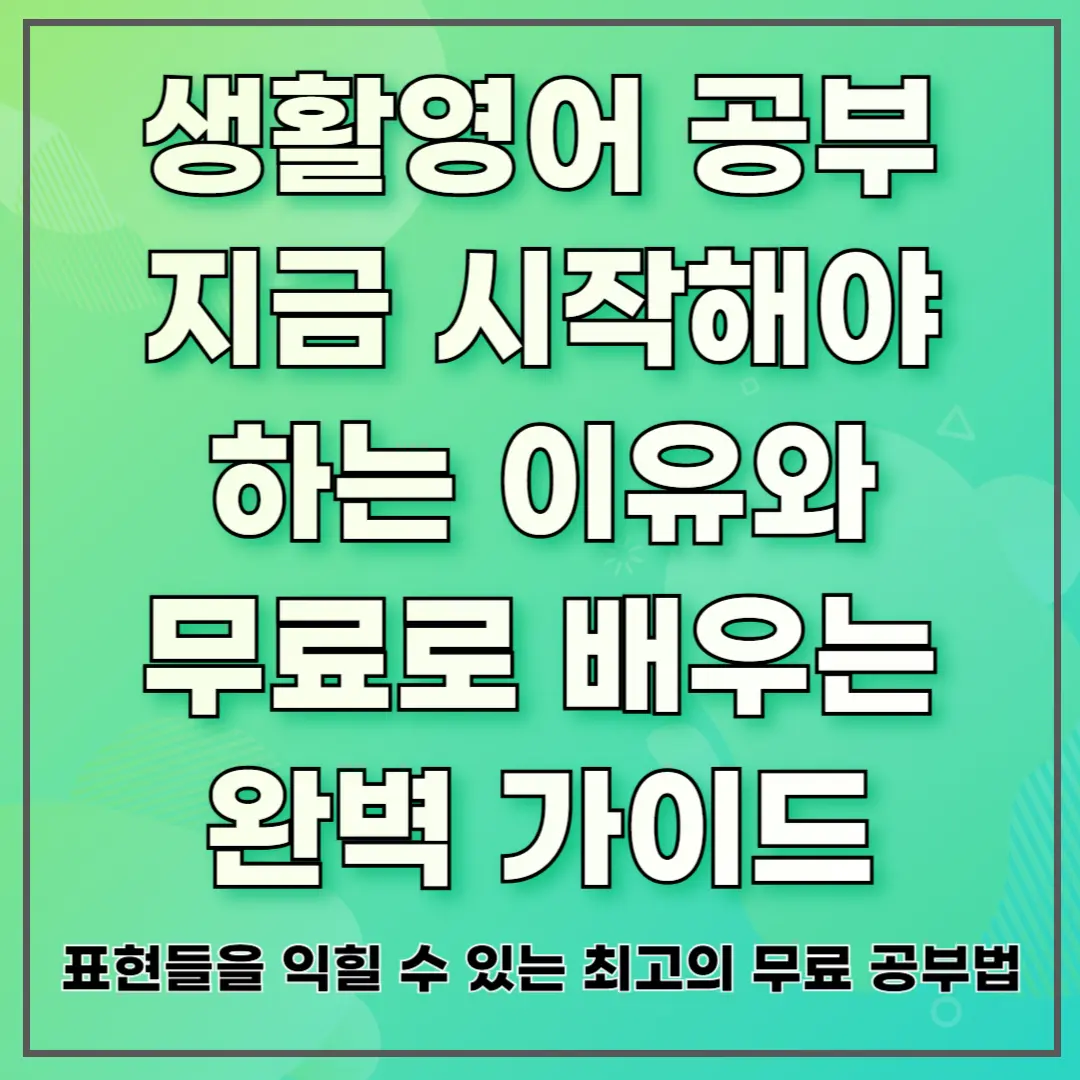 생활영어 공부 지금 시작해야 하는 이유와 무료로 배우는 완벽 가이드