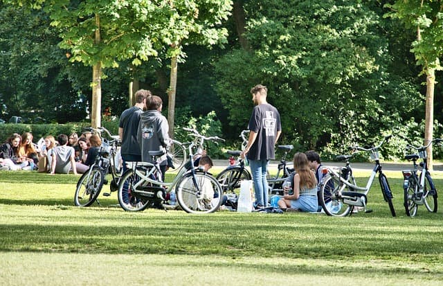 연령 독서 청소년