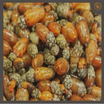 미더덕 찜국 미더덕회 미더덕철 오만둥이 레시피_3