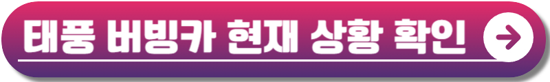 태풍 버빙카
