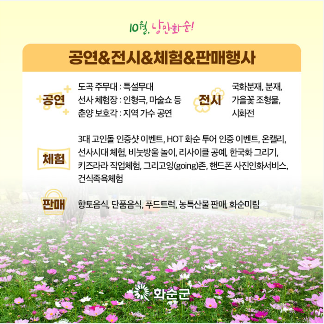 화순 고인돌 가을꽃 축제에는 공연, 전시, 체험, 판매행사도 진행중이다.
