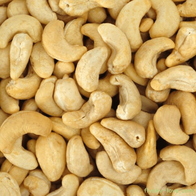 캐슈넛 고르는 법