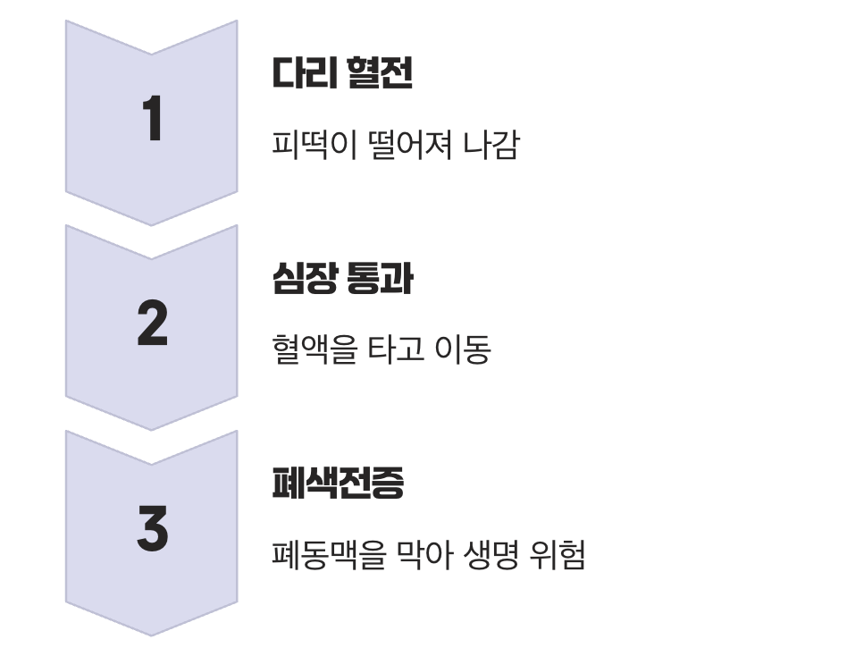 진짜 위험, 시한폭탄이 날아간다! (폐색전증)