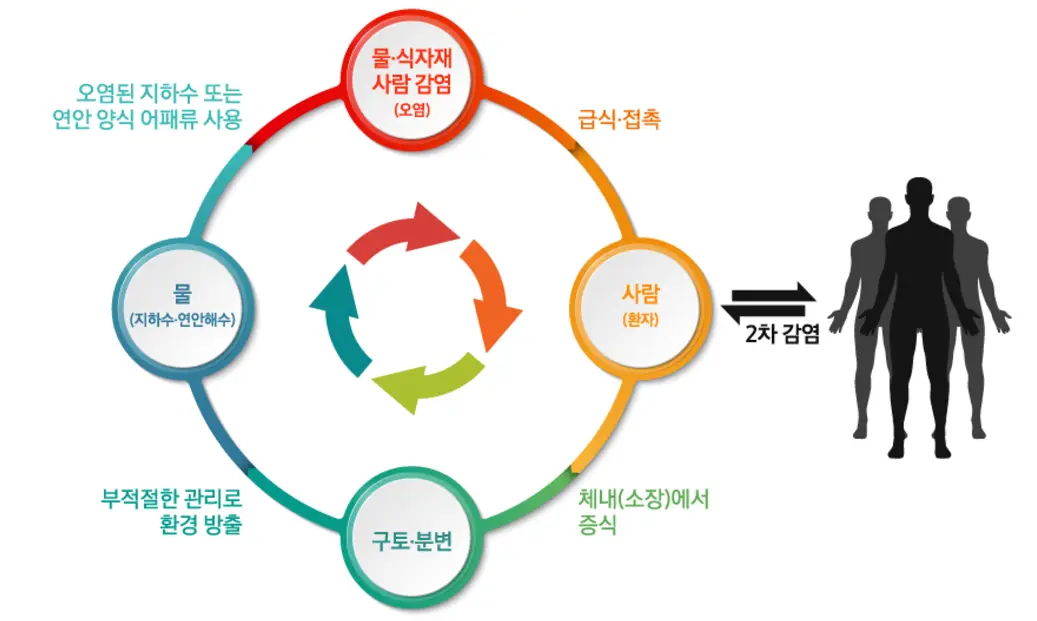 노로바이러스-2차-감염