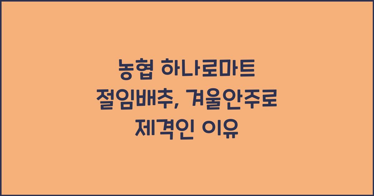 농협 하나로마트 절임배추