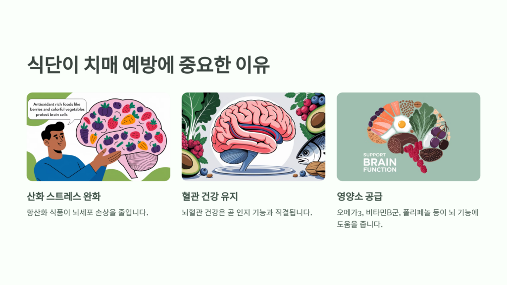 왜 식단이 치매 예방에 중요한가?