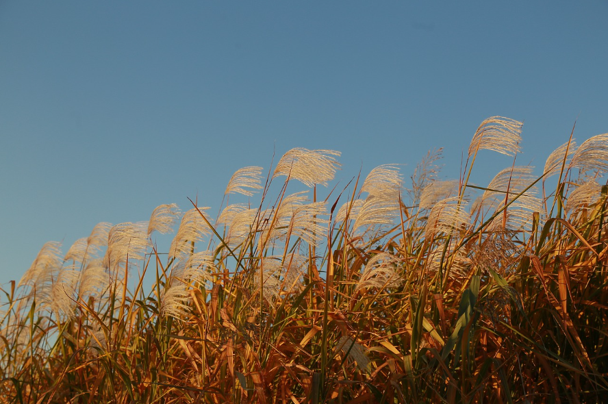 2023 서울정원박람회