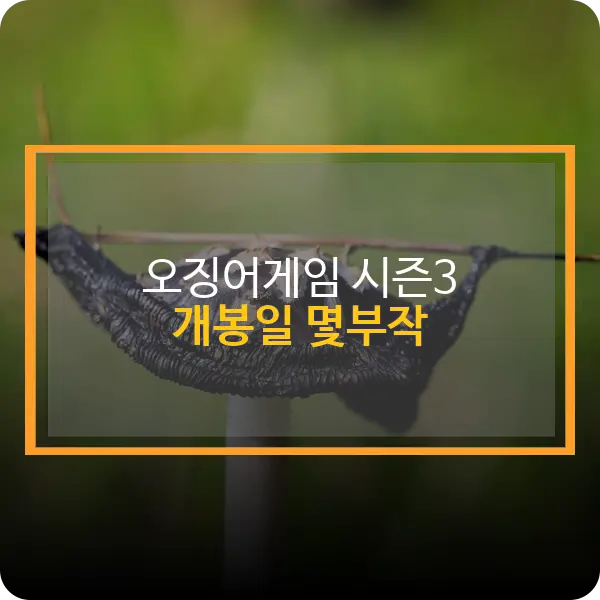 오징어게임 시즌3