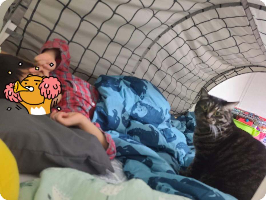 후추는 아이의 첫 잠자리 독립 순간에도 함께했다.