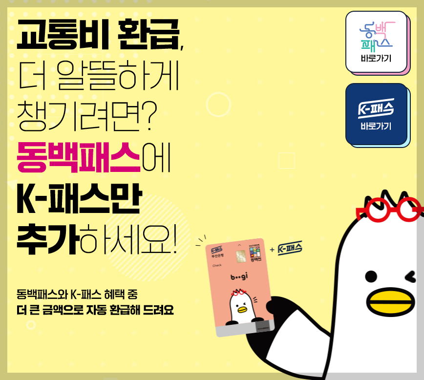 동백패스 k패스 3분 총정리