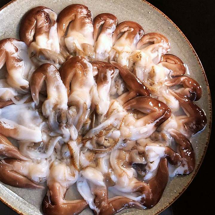 6시내고향 홍성 남당항 새조개 샤부샤부 전국 택배 주문 구매 가능 쭈꾸미 해산물 맛집 오늘 방송 추천 