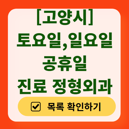 고양시 일요일 문 여는 정형외과 목록 ❘ 토요일, 주말, 공휴일 진료 영업 병원 리스트