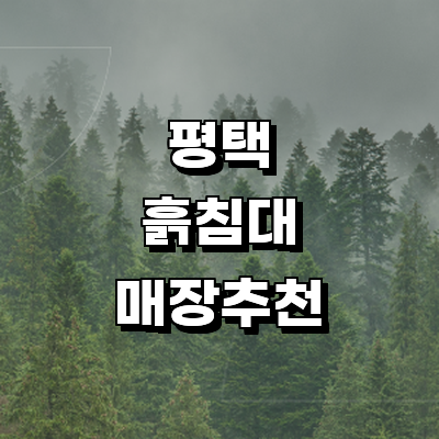 평택시 흙침대