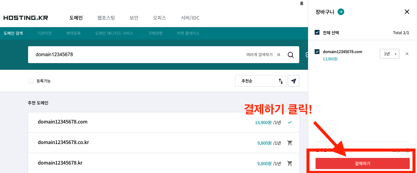도메인(domain) 결제하기 버튼 선택