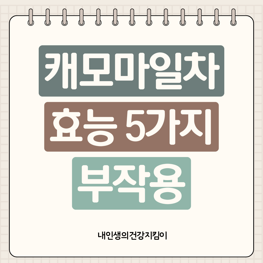 캐모마일차 효능 5가지와 부작용, 불면증 해결에 하루 한 잔이면 충분한 이유