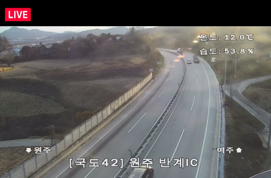 원주-반계리-은행나무-CCTV