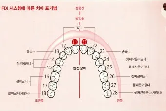 성인 이름의 유래와 축일 선택 가이드_9