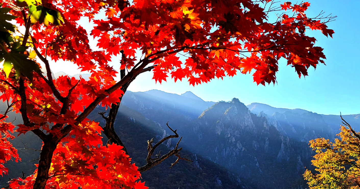 설악산 단풍
