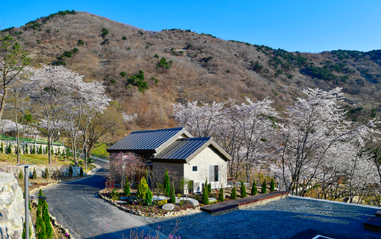 진주 월아산자연휴양림
