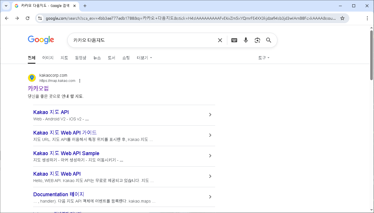 다음지도