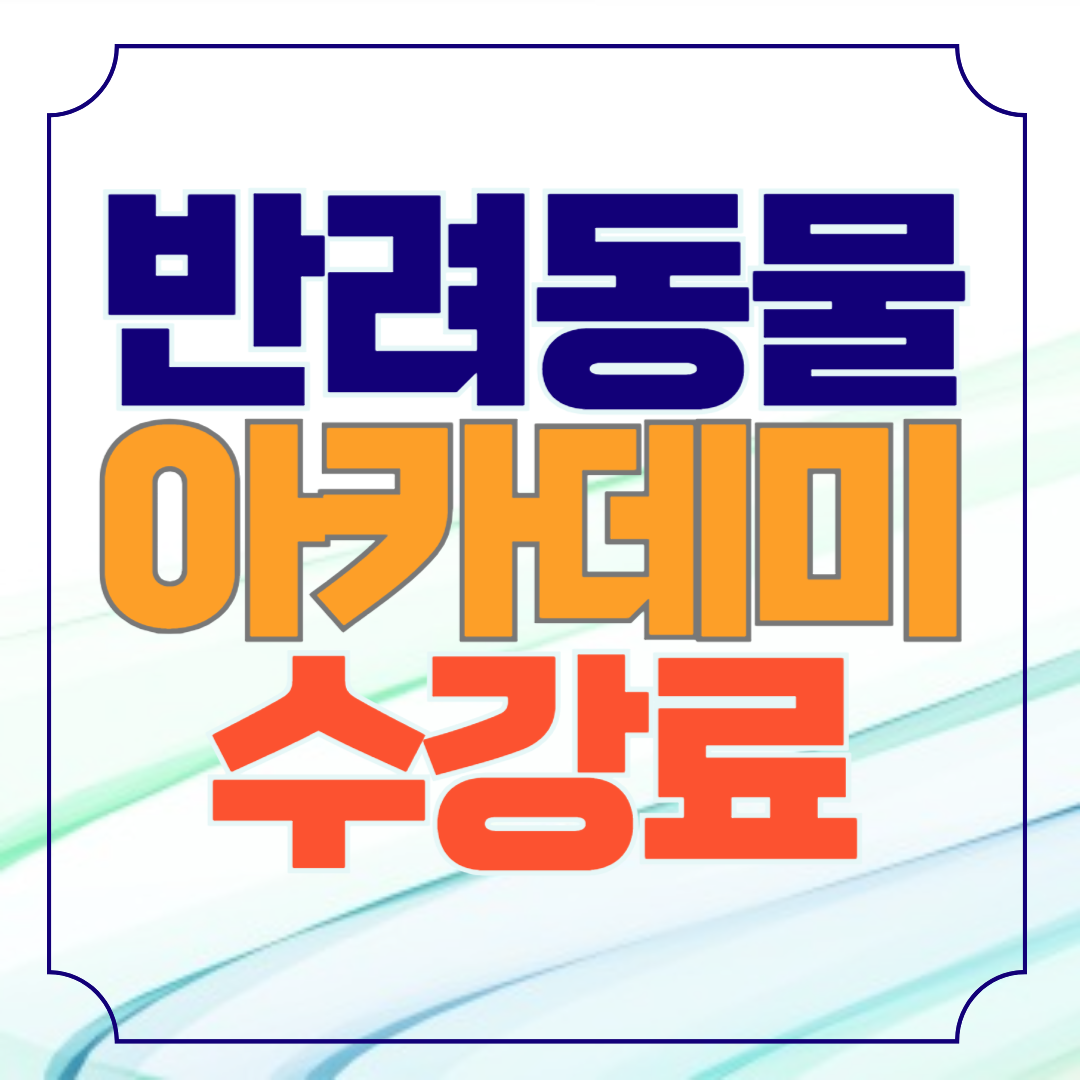 한국반려동물아카데미 동물자격증 수강료 확인