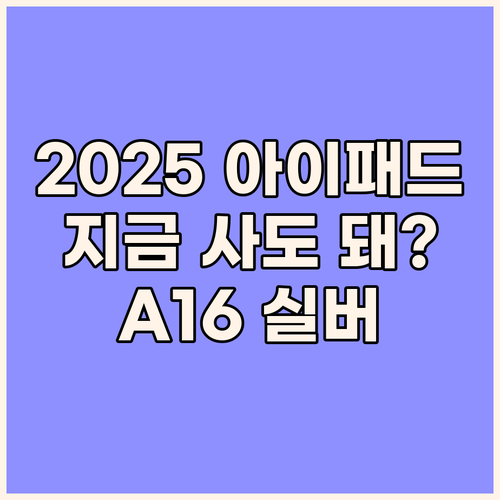 2025 아이패드 A16 실버, 지금