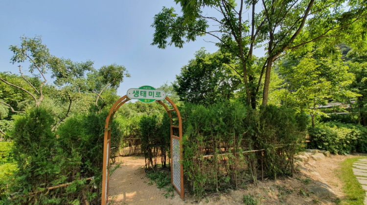 문경 생태미로공원