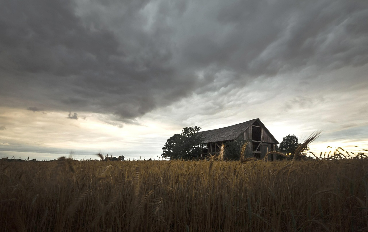 관광객이 거의 없는 ‘사라져가는 마을’ 여행기