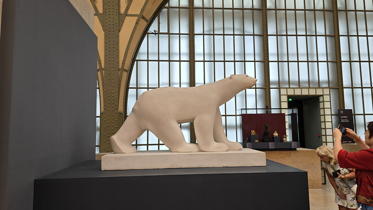 Ours blanc, Pompon
