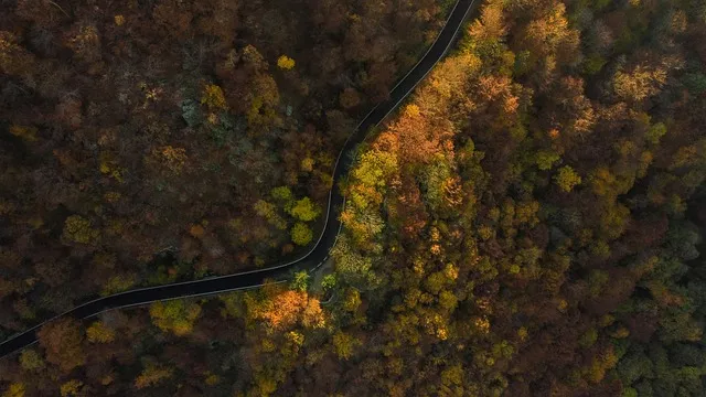담양 죽녹원 소아르호텔 숙박 맛집_9