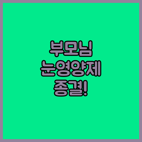 부모님 선물용 눈 영양제 루테인 지아..
