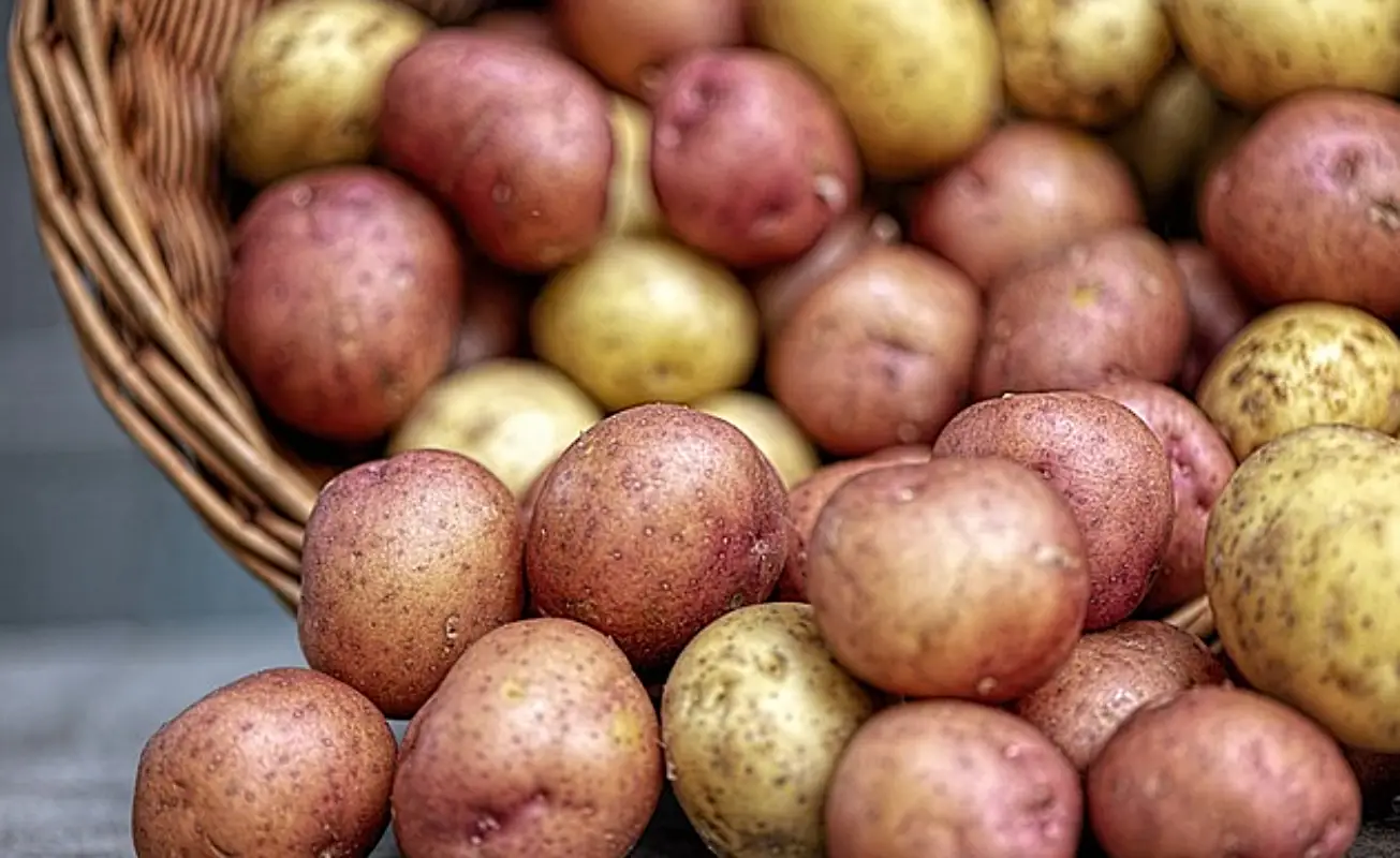 감자 냉동보관법