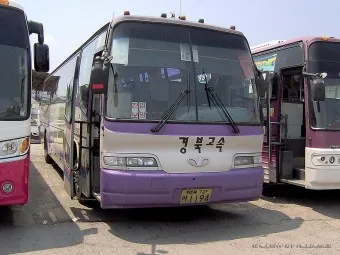 영양 시외버스터미널 시간표 예매 요금_16