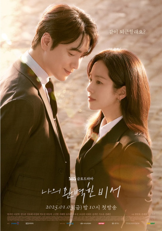 나의 완벽한 비서 드라마 포스터