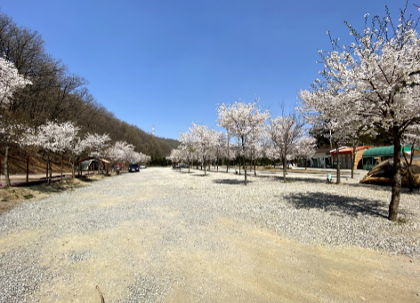 용인 싱글벙글 캠핑장 &amp; 펜션