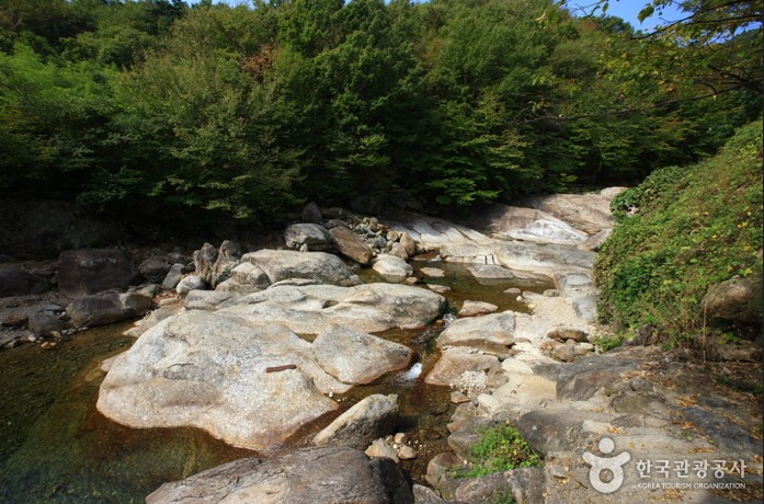 지리산-피아골-계곡